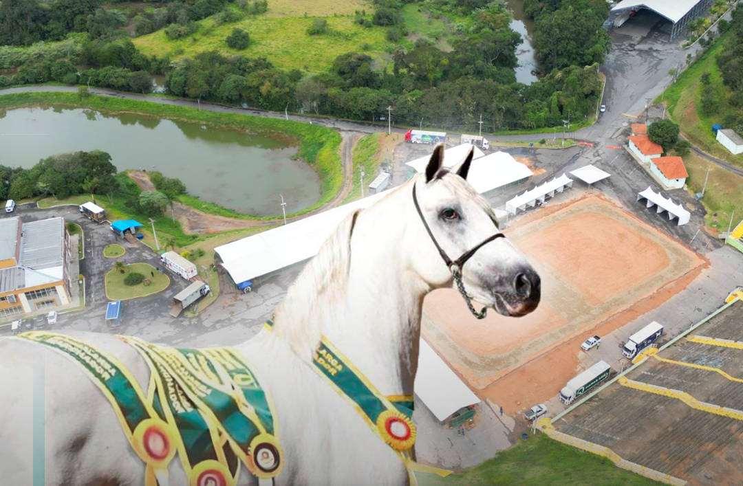 Parque de Eventos recebe o retorno da tradicional Exposição de Mangalarga Marchador com a participação de mais de 200 cavalos no recinto