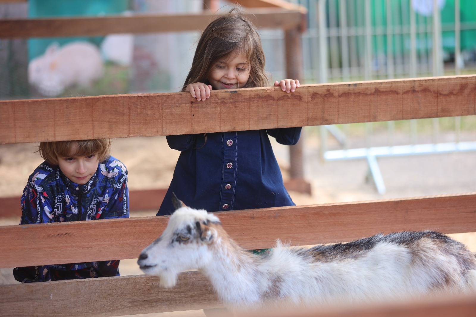 Fazendinha é instalada no Parque de Eventos para visitação gratuita durante segundo final de semana da Festa do Peão de Boiadeiro de Extrema
